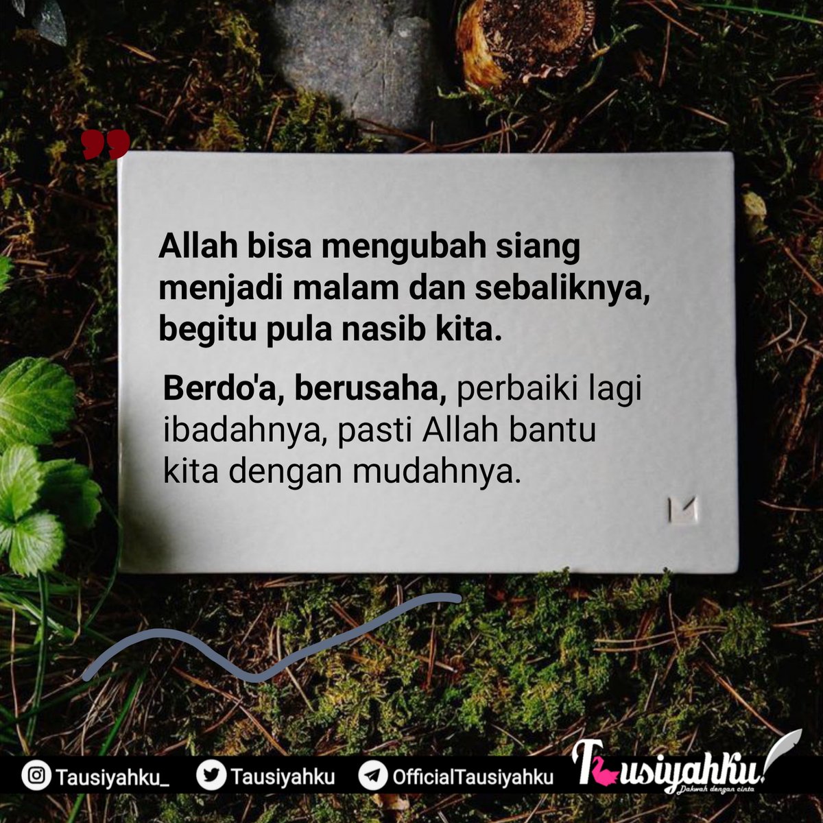 Tausiyahku's tweet photo. https://t.co/zK2uDX5TqJ