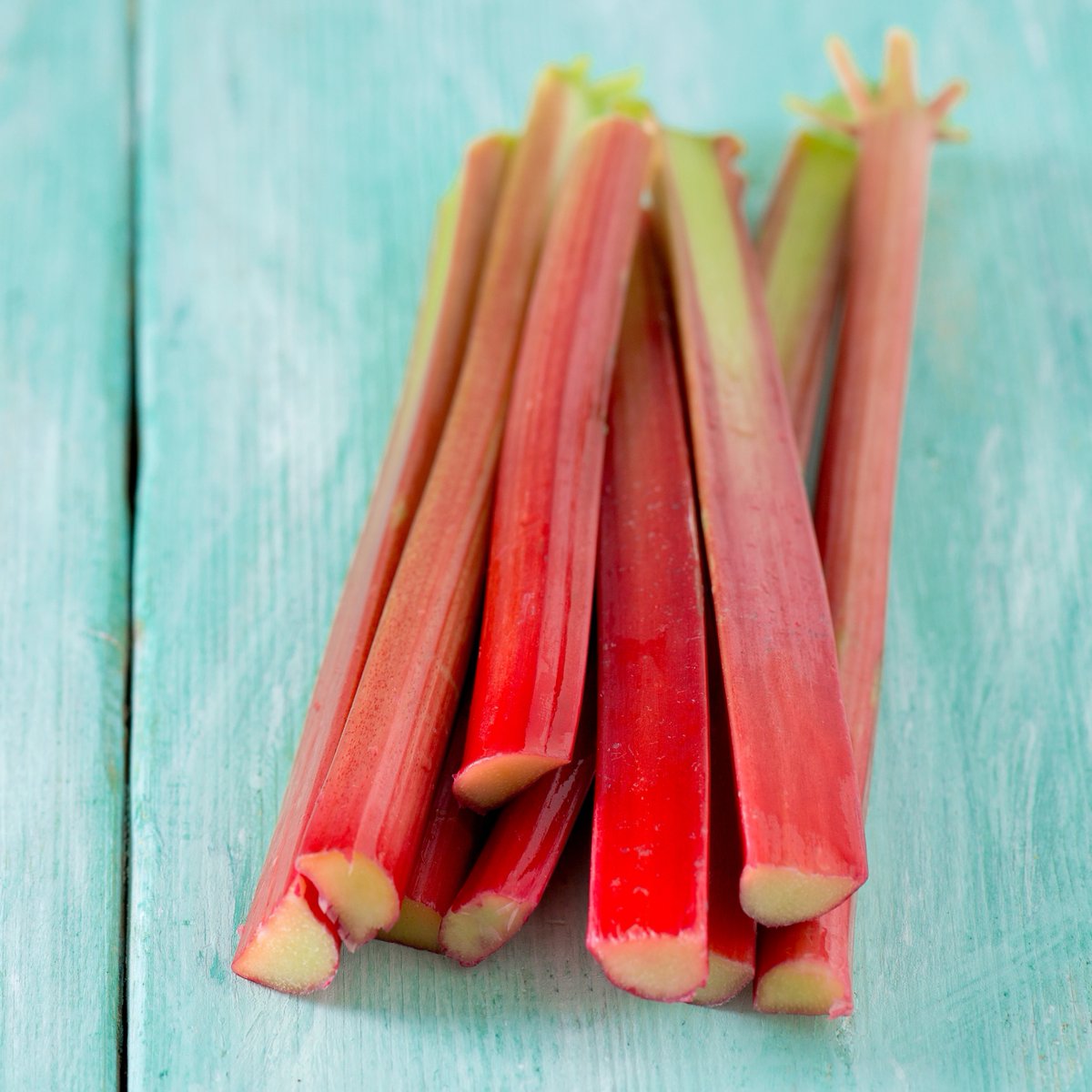 farmfreshtoyou's tweet photo. These red, celery-like stalks offer a distinct tartness to sweet and savory dishes alike. Its unique taste makes it a favorite in many desserts paired with strawberries and/or ginger to make sauces, jams and pies. Add #rhubarb to your delivery when you #customizeyourbox. https://t.co/8nrjQdHH6a