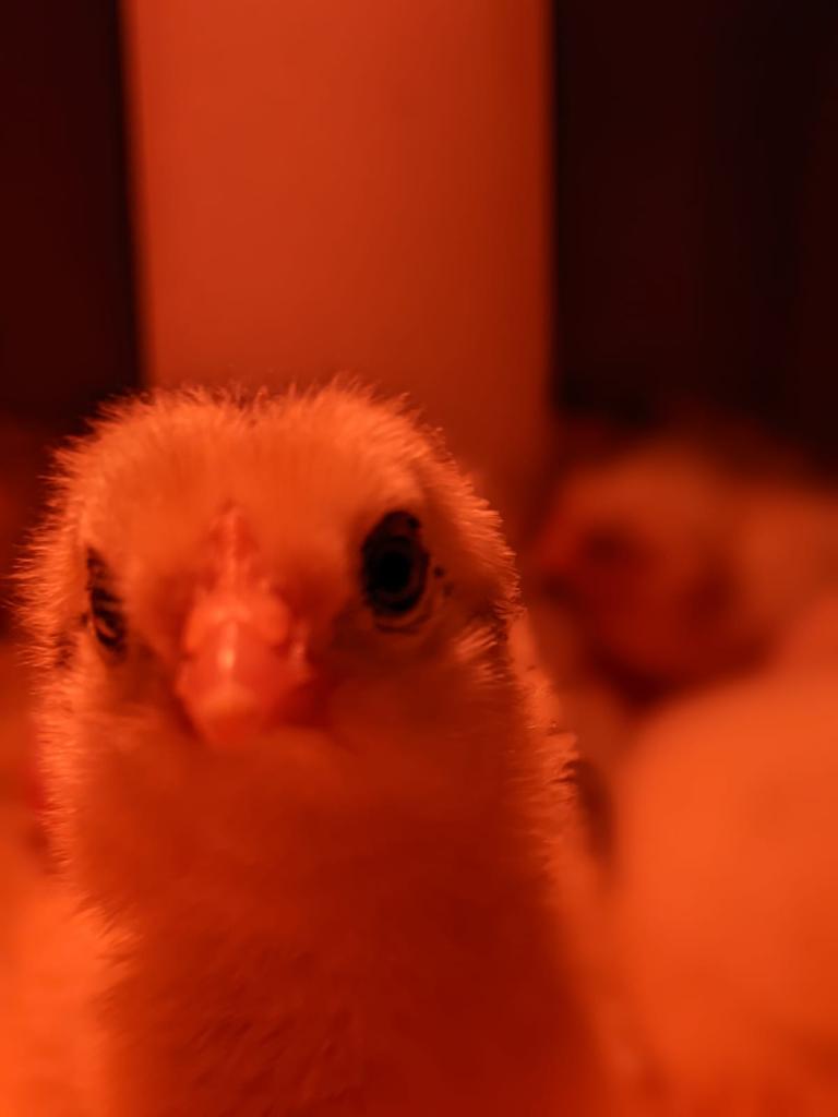 Darren Sissons tweet media