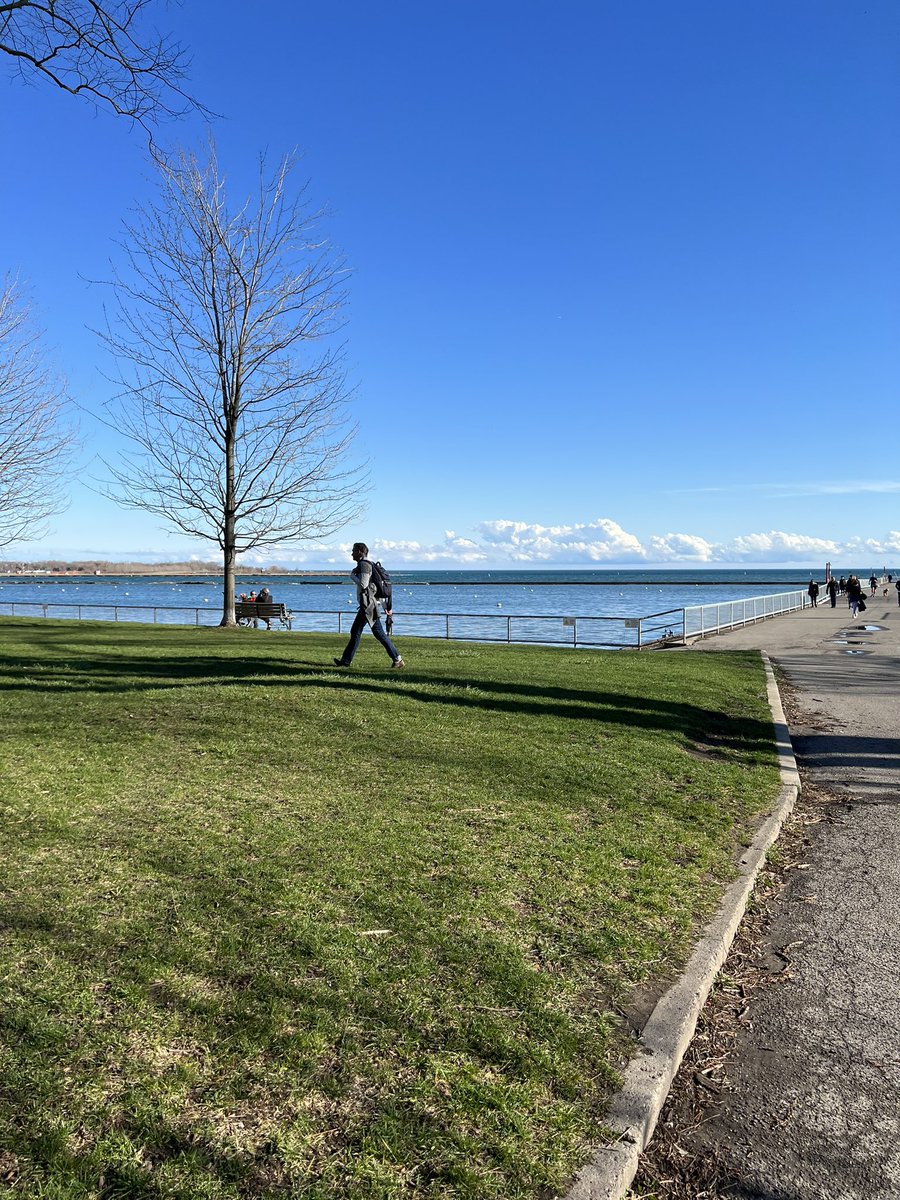 Nikita_Butalia's tweet image. Spring has sprung in Toronto: the dogs are out, folks are back on running tracks, the water is glittering again. All is right in the world 🌸♥️ #torontospring #canadaspring #downtowntoronto