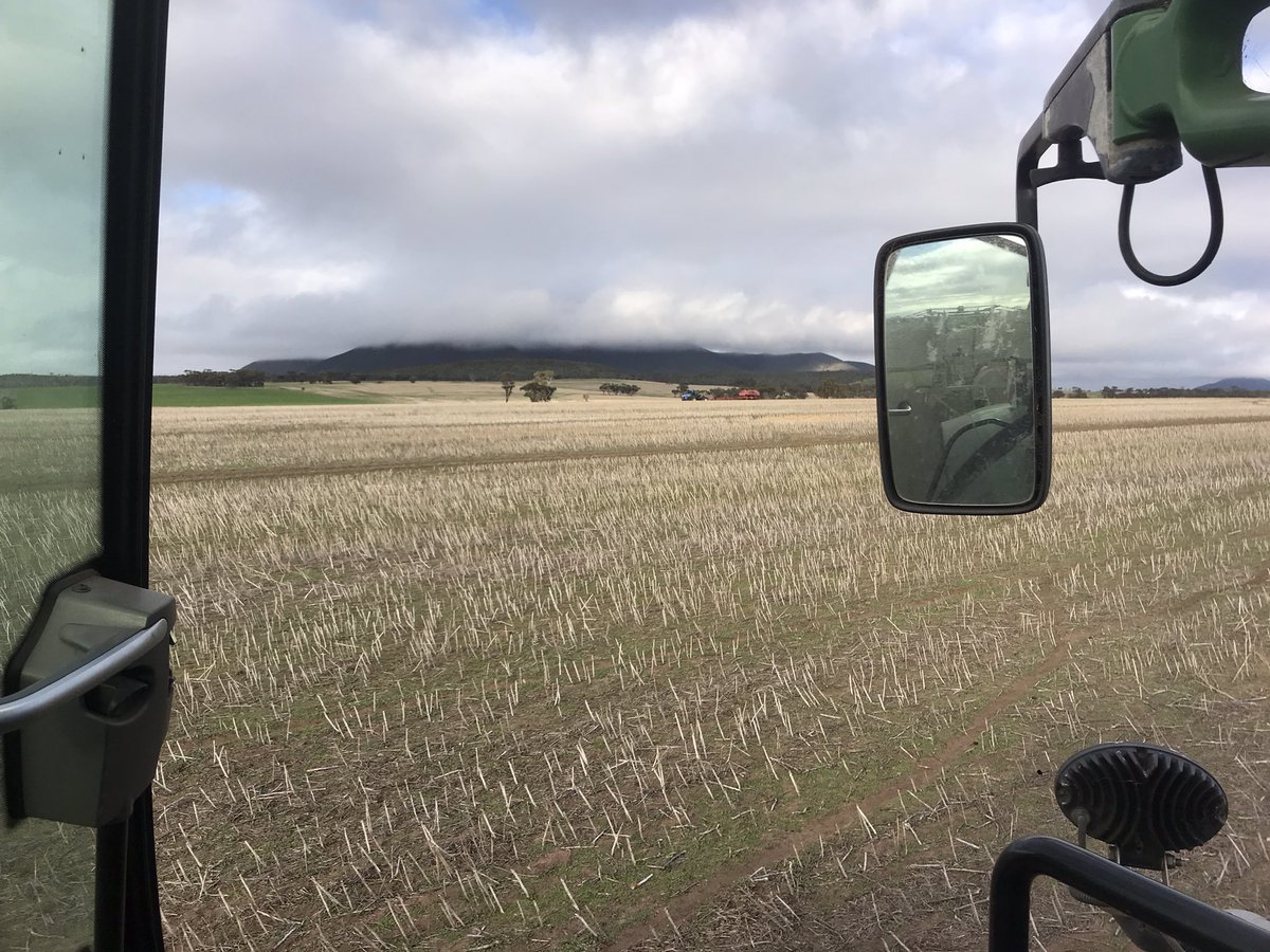 paper_collar's tweet photo. Beaut day to murder a perfectly good medic stand to plant #illabo wheat! #crimesagainstclover @dudesripen https://t.co/oiL1kEBewE