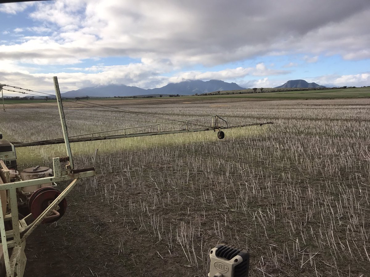paper_collar's tweet photo. Beaut day to murder a perfectly good medic stand to plant #illabo wheat! #crimesagainstclover @dudesripen https://t.co/oiL1kEBewE