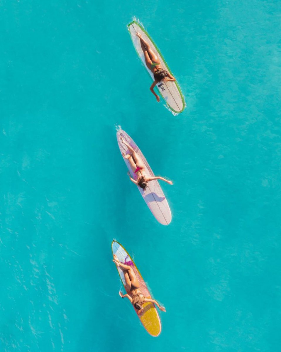 Jess 🌈 tweet media