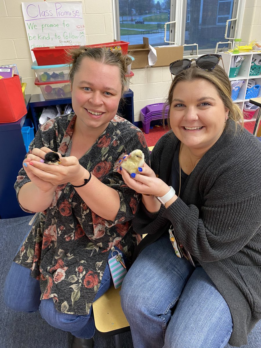 Jaime Lierly tweet media