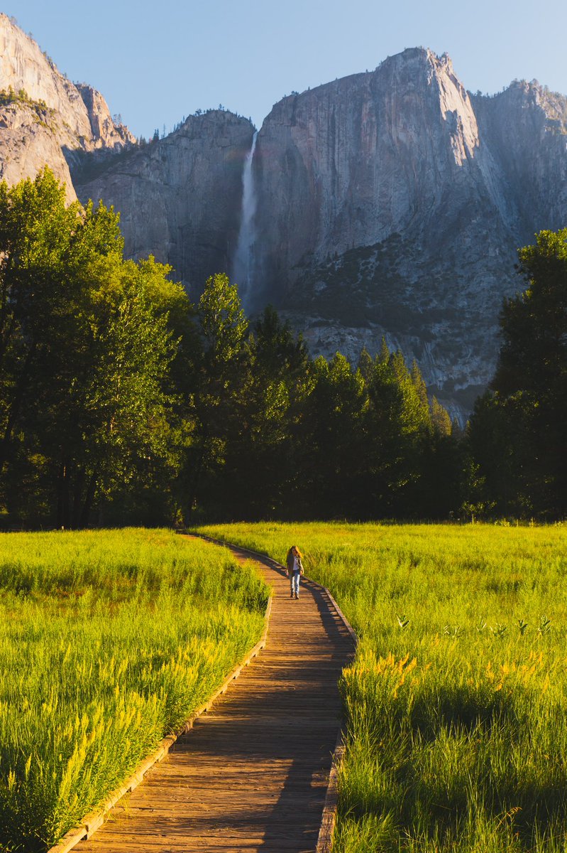 courtney tweet media