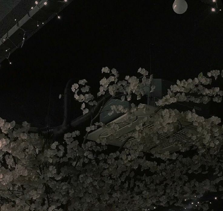 httpsjina's tweet image. ⸻ Ƈontei meus anos e descobri que terei menos tempo para viver daqui para a frente do que já vivi até agora  ～Tenho muito mais passado do que futuro.
 
 ᮫ ﹾ⏱٘ 𓍢᮫  21 ː 45ꮋ ⸻