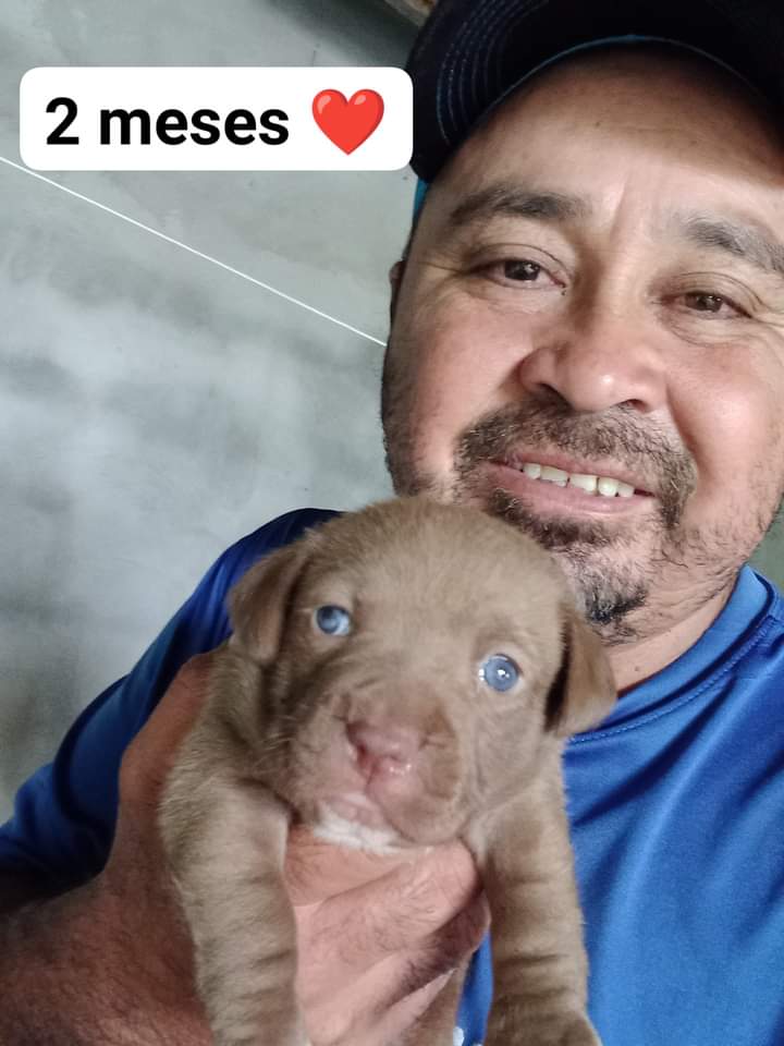 Canela ya creció cuando en un momento yo pensé que no viviria pero no me rendi un poco de amor puede hacer mucho será la canela más hermosa 😍 adopta un perrito de la calle el te va amar siempre los quiero mucho bendiciones gracias por todo