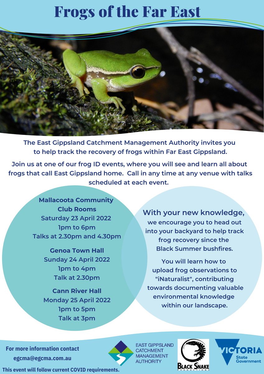 East Gippsland CMA (@eastgippscma) on Twitter photo 🐸🐸🐸🐸🐸🐸🐸🐸🐸🐸
You’d be hopping mad to miss out on the Frogs of the Far East events in Mallacoota, Genoa or Cann River this weekend. Did you know that the national threatened Growling Grass Frog eats mostly spiders?🕷️ Find out more at one of the events.
<a href="/westgippscma/">West Gippsland CMA</a> 🐸🐸🐸🐸🐸🐸🐸🐸🐸🐸
You’d be hopping mad to miss out on the Frogs of the Far East events in Mallacoota, Genoa or Cann River this weekend. Did you know that the national threatened Growling Grass Frog eats mostly spiders?🕷️ Find out more at one of the events.
<a href="/westgippscma/">West Gippsland CMA</a>