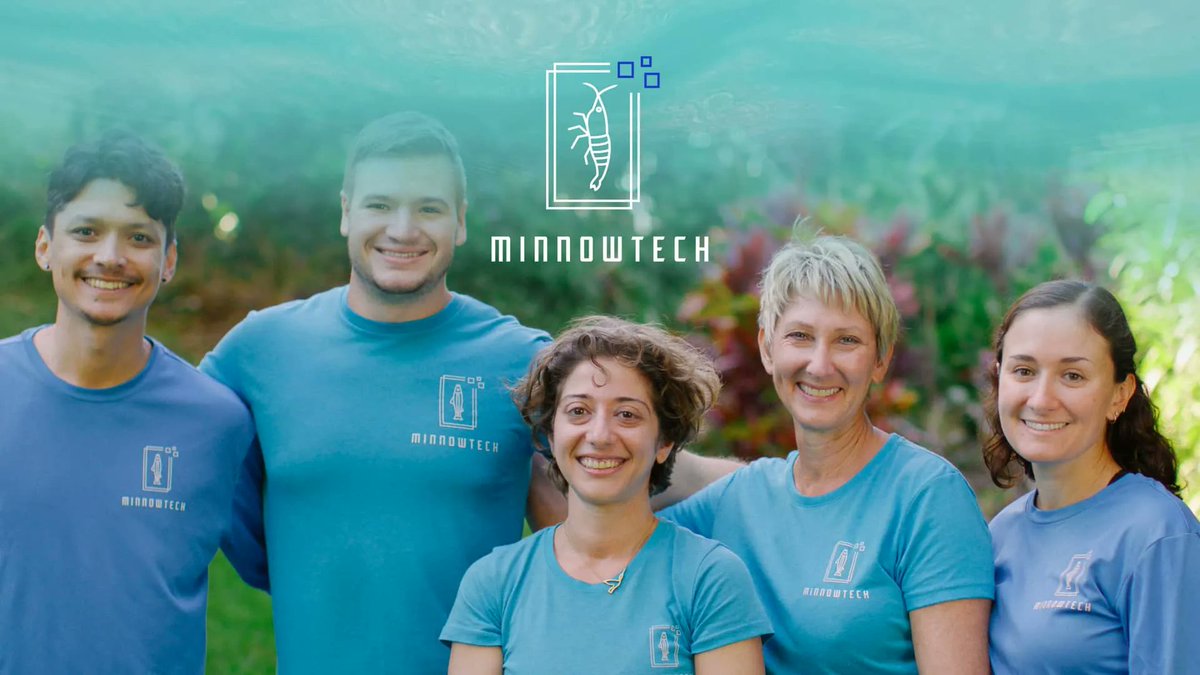 Minnowtech tweet media