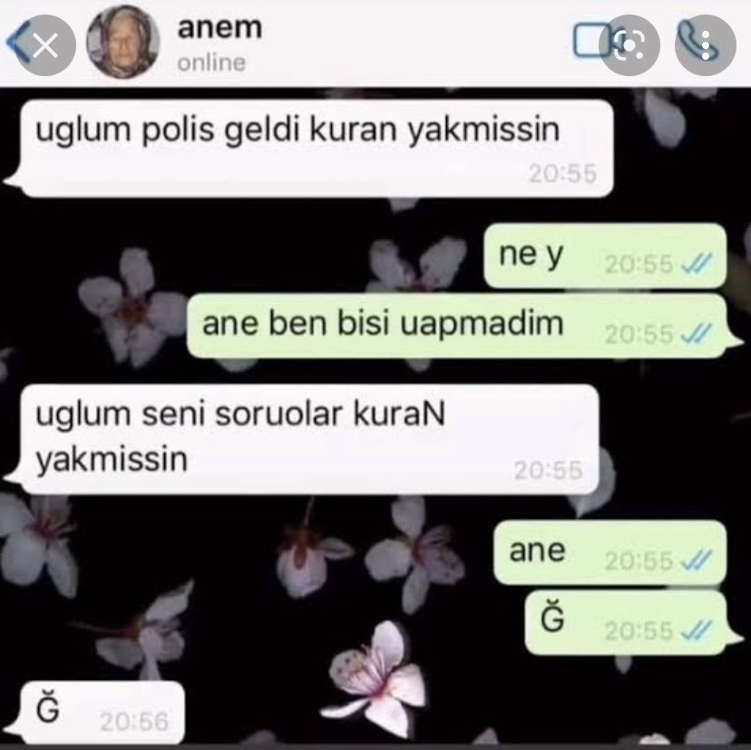 Seni seviyorum