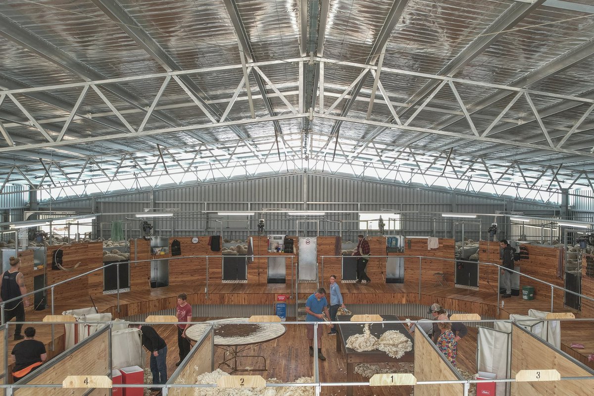 ActionSteel's tweet photo. Flashback Friday!💭
A 59.5m x 27m x 5.1m shearing shed and covered yards for Wirrinourt Pastoral.
📍Mininera VIC
View more photos: https://t.co/HjgfN9zESA
#ActionSteel #BigSheds #FBF #FlashbackFriday #ProWayAUS @ProWay2000 #shearing #shearingshed https://t.co/RACVmU6eL2