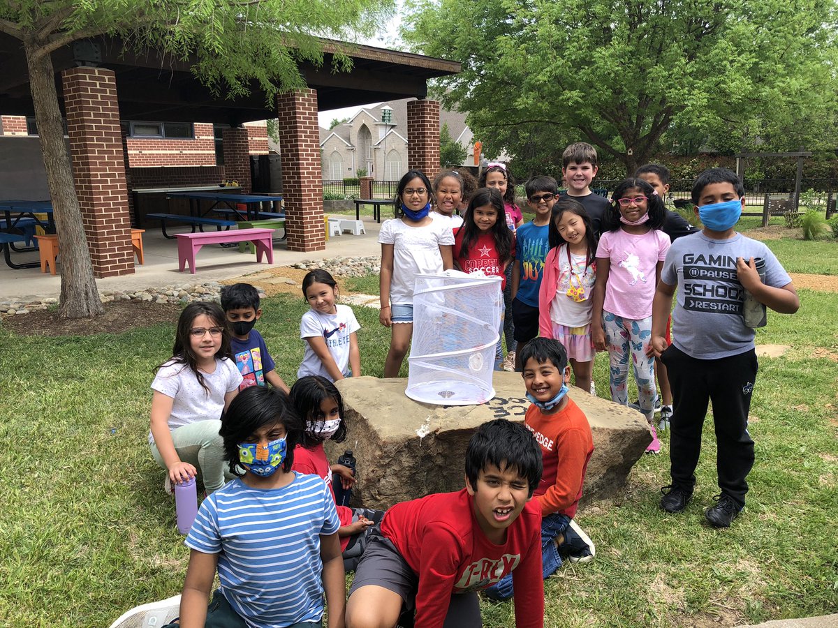 MsLShepherd's tweet photo. About to release our butterflies! @DCEtrailblazers #75019Science https://t.co/kSWEyGckcn