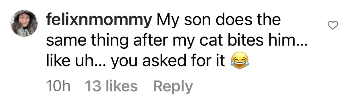 WeeLaura's tweet photo. To the person who posted this IG comment on that video of the fan getting punched by Mike Tyson:

WHAT THE FUCK IS WRONG WITH YOU DON’T LET YOUR STUPID BRAT HIT YOUR CAT YOU FUCKING MONSTER

#SaveFluffy https://t.co/TqRIXxMkqN