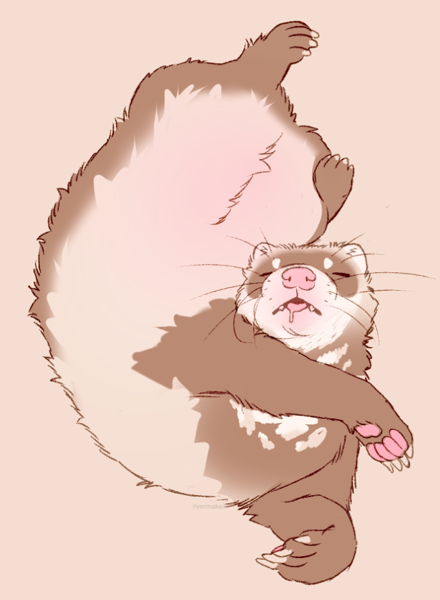 FerretPosting's tweet photo. Bean boy https://t.co/Kt6FqdImoH
