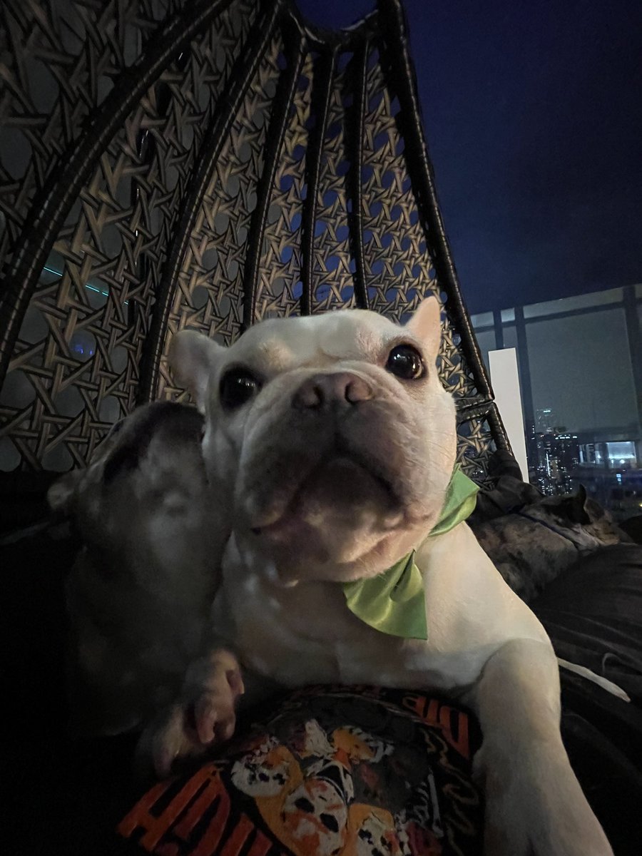 I swear! It was Amber that shit the bed #MePoo