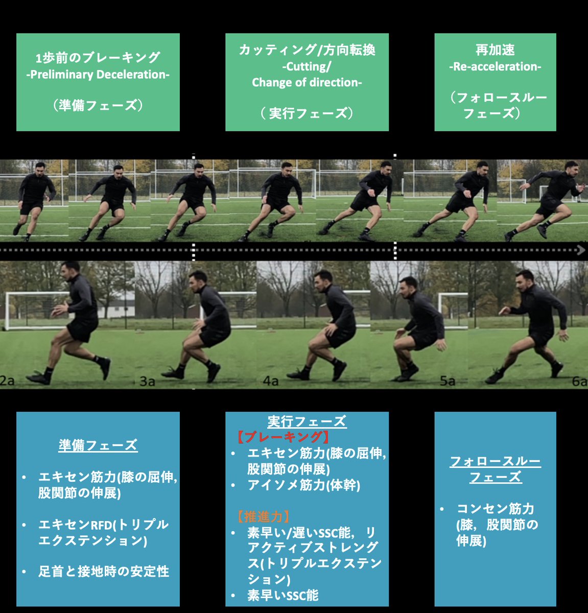 鈴木 雄大 | S-CADE. (@02handb) on Twitter photo リツイートで翻訳プレゼント🎁
✅より素早く方向転換を実行するためのトレーニングがまとめられた記事です!
記事元↓
<a href="/sciofmultispeed/">Science of Multi-Directional Speed</a>
sciofmultispeed.com/importance-of-… リツイートで翻訳プレゼント🎁
✅より素早く方向転換を実行するためのトレーニングがまとめられた記事です!
記事元↓
<a href="/sciofmultispeed/">Science of Multi-Directional Speed</a>
sciofmultispeed.com/importance-of-…