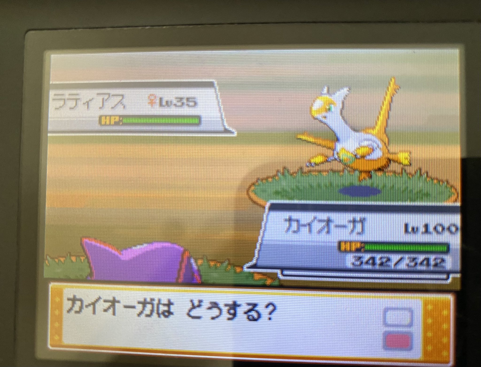えぬ Switchやらない老害 Poke Sya Twitter