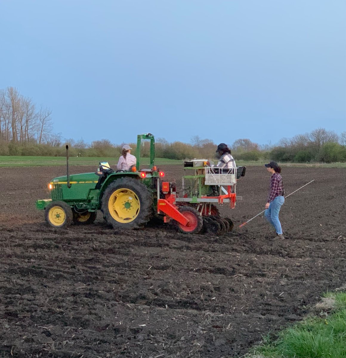 Tadele18's tweet image. All female crew planting spring oat panicle rows. A lot of skilled members at university of Illinois Urbana-Champaign small grains breeding group.