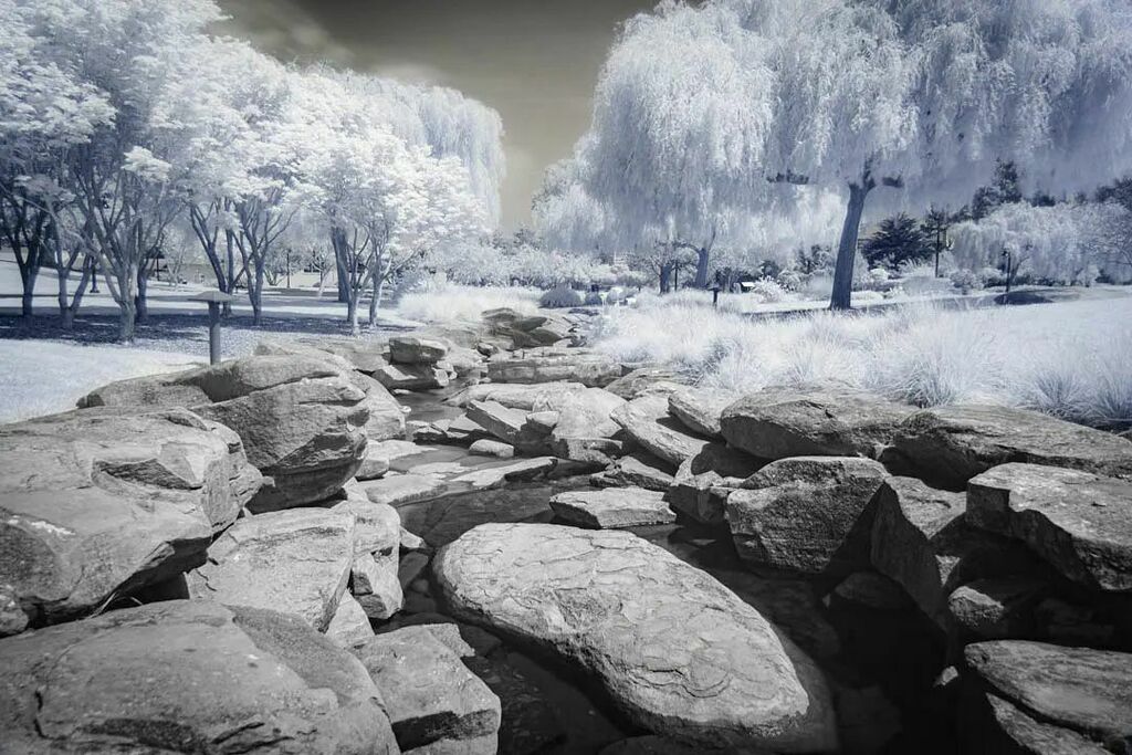 justlai87's tweet photo. I knew we'd be experiencing a cold front and rain, but snow?
•
Another infrared photo. Creating snowy looks is what got me interested in IR photography. 
.
.
.
#infraredphotography #infraredphoto #irphotography #lettermandigitalartscenter #presidiosf… https://t.co/vVxppVjOca https://t.co/cqxfVTsPsi