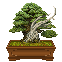 bit_bonsai's tweet photo. Base Bonsai, Bonsai with Jin, Bonsai with Jin in Winter. The layers and dynamic nature of [ Bit Bonsai ] https://t.co/8RqZncoQkH