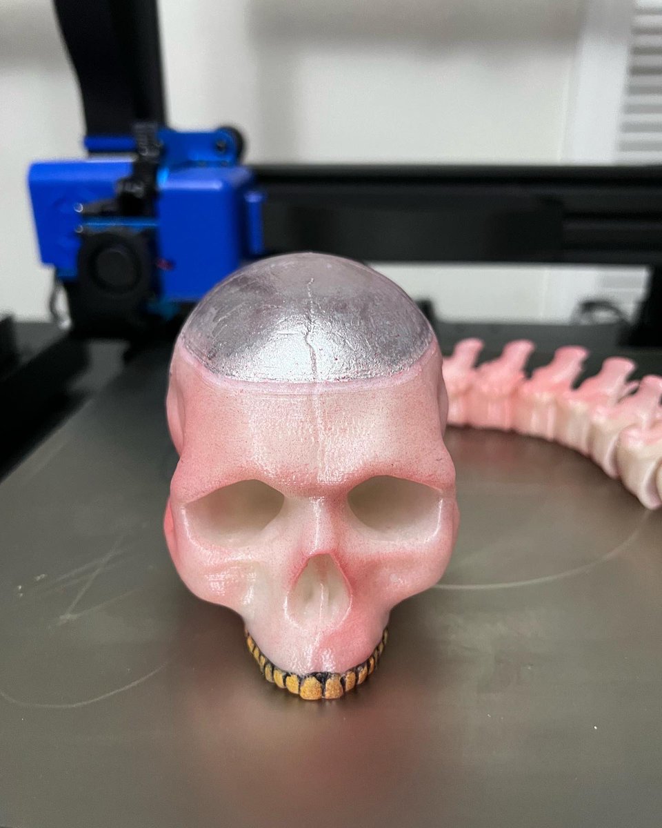 audiemarsh's tweet photo. “Dog will hunt. Get that bitch, Leatherface. Get that bitch!” @choptopmoseley skull and spine GITD trophy. #tcm2 #texaschainsawmassacre2 #horror #horrormovies #horrorfan #horroraddict #3dprinting #3dprinted #audiemarshproductions #audiemarsh #amp3d #plaprint https://t.co/KIR7kg9Gx2