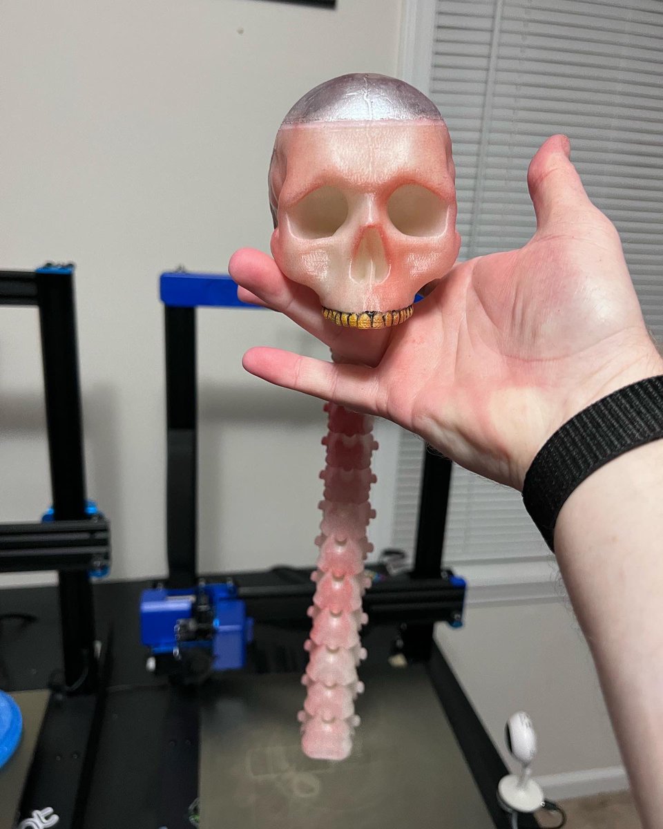 audiemarsh's tweet photo. “Dog will hunt. Get that bitch, Leatherface. Get that bitch!” @choptopmoseley skull and spine GITD trophy. #tcm2 #texaschainsawmassacre2 #horror #horrormovies #horrorfan #horroraddict #3dprinting #3dprinted #audiemarshproductions #audiemarsh #amp3d #plaprint https://t.co/KIR7kg9Gx2
