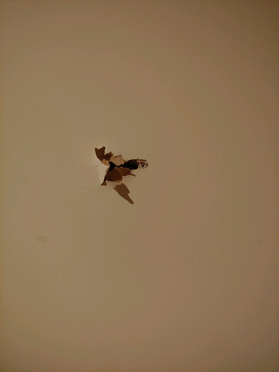 Lisa_Gresci's tweet image. These two were simply trying to heat up a burrito in this microwave when a bullet came through the third story window of their Mission Hill apartment. @7News