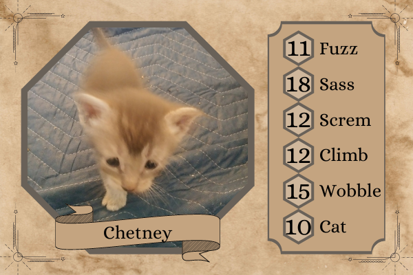 Whoulette's tweet photo. Settling in for @CriticalRole with our foster cat mom and her litter of critters @WillingBlam @robbiedaymond @executivegoth . Sorry @matthewmercer , momma only had 8 kittens <3 https://t.co/Zv2ChLWIG4