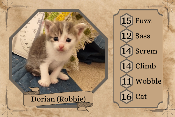 Whoulette's tweet photo. Settling in for @CriticalRole with our foster cat mom and her litter of critters @WillingBlam @robbiedaymond @executivegoth . Sorry @matthewmercer , momma only had 8 kittens <3 https://t.co/Zv2ChLWIG4