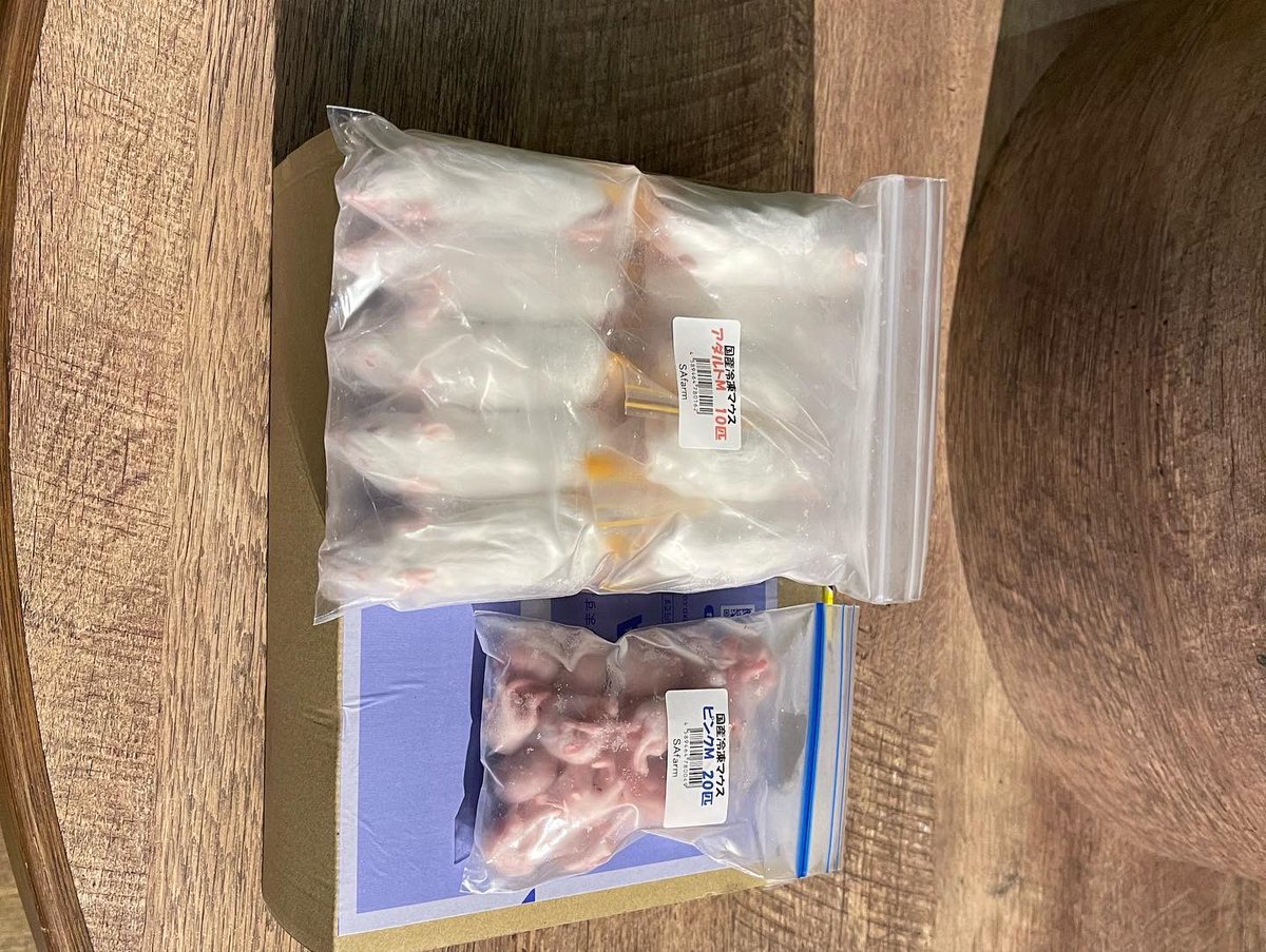 SAfarm 国産冷凍マウス・ラット専門店 (@safarm_shop) / Twitter