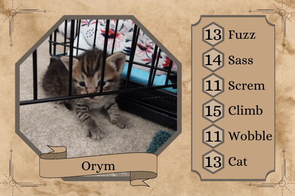 Whoulette's tweet photo. @CriticalRole #BellsHells #CritRoleCritters @Marisha_Ray @VoiceOfOBrien https://t.co/7sYKO6Dbpg