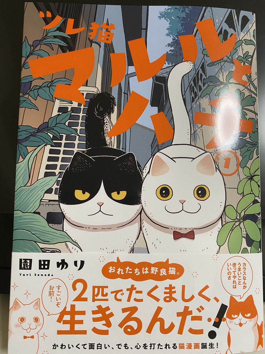 ノラ猫サバイバル漫画「マルルとハチ」とても良かったです 