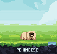 PixelDogs tweet media
