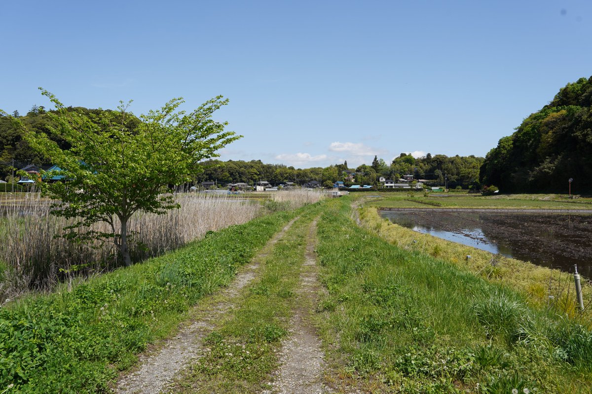 dpseti's tweet image. 休みだから散歩してきた。空気が気持ち良い。