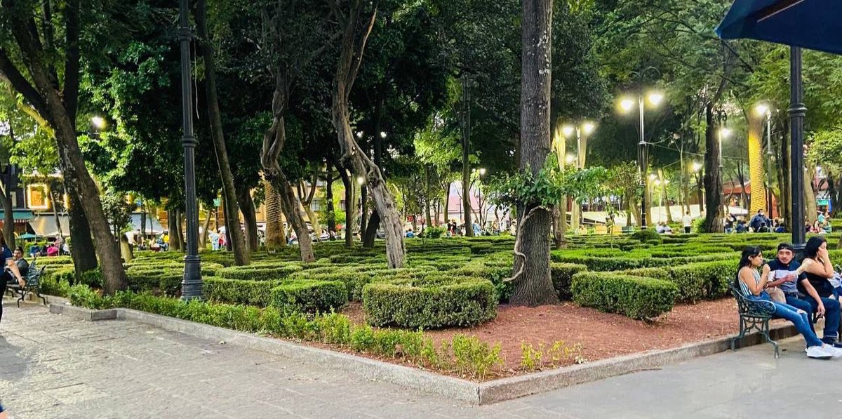 Alcaldia_Coy's tweet photo. Qué bonito nuestro Coyoacán libre para caminar, disfrutar,  leer. Ayúdanos a mantenerlo así, libre y limpio. El espacio público es para disfrute de todas y todos. https://t.co/6TjobMqk5m