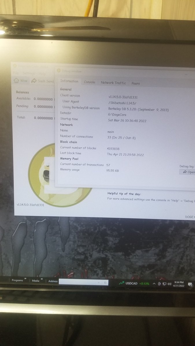 DcSamuelson's tweet image. Checked on the #dogecore on the workstation to see hows its been. Looking good #doge love to see good connections and traffic. #dogecoin #DogecoinToTheMoon