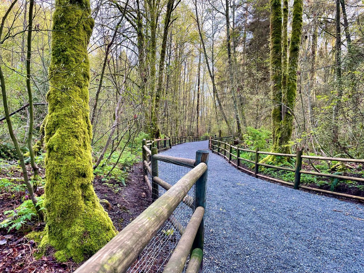 A sunny afternoon after a rainy morning is like a special gift! (@ Mosquito Creek Trail in North Vancouver, BC) swarmapp.com/c/jNIMQsxHt4Y