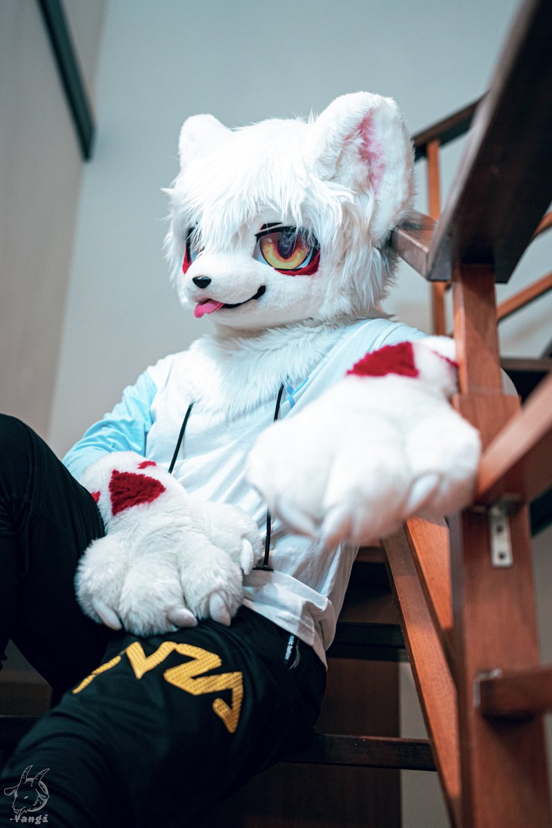 夜夜(MN)➡️Hi furry tweet media