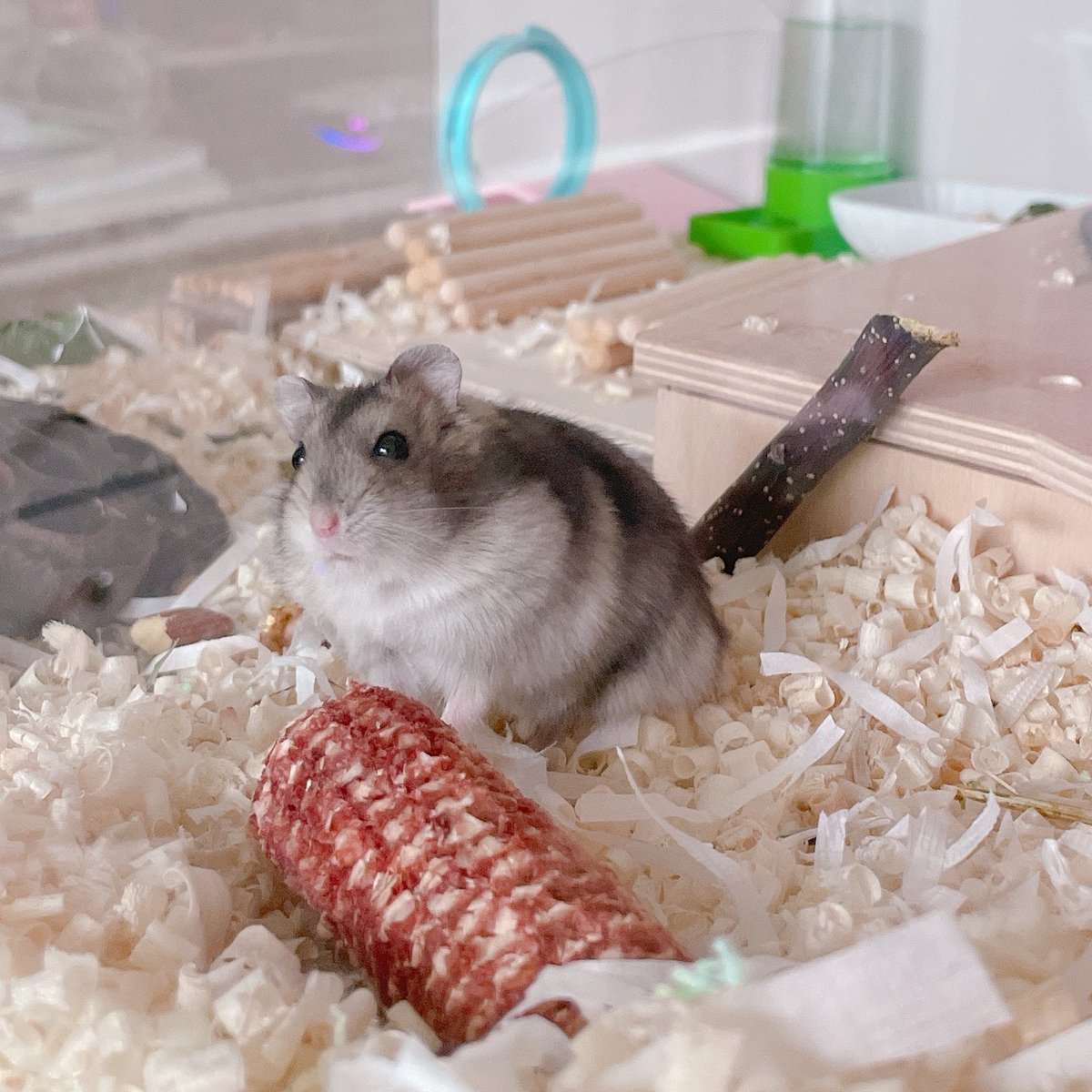 왜 이리 바보같고 귀엽지