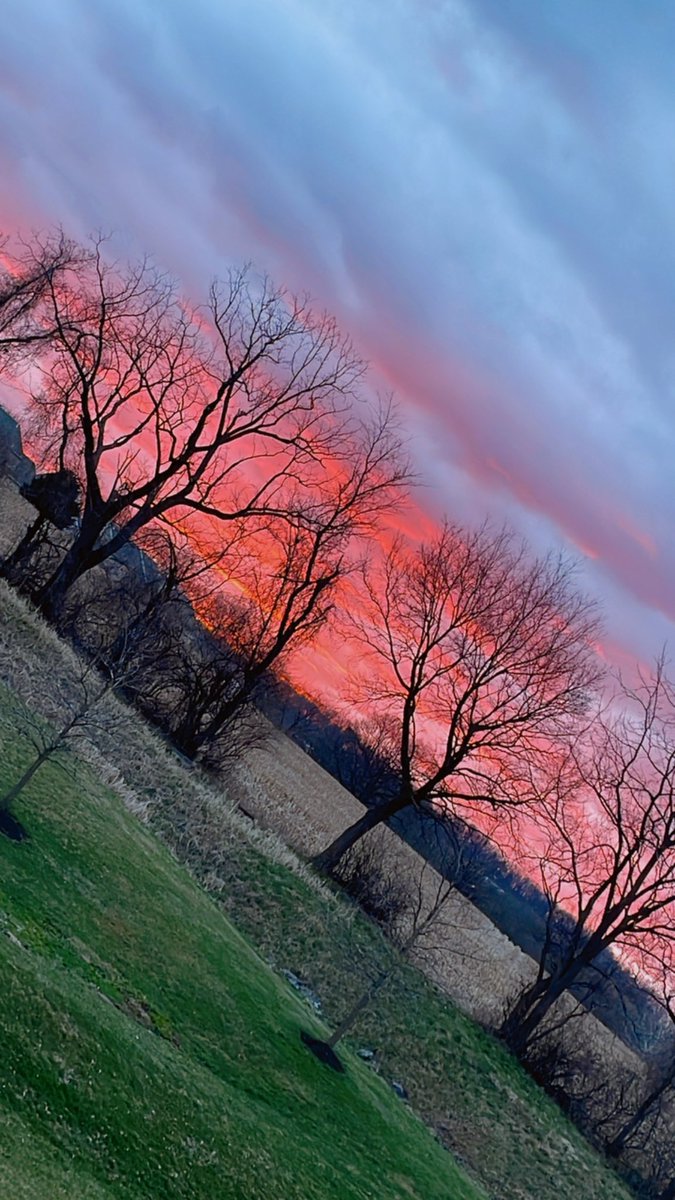 @peytonmorrell tweet media