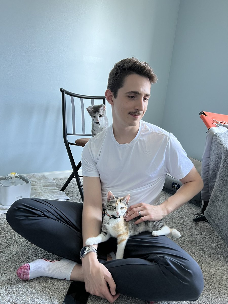 lmk why this pic of my husband and our kittens looks like a renaissance painting 😌 life imitates art <a href="/Schroludo/">luke</a>