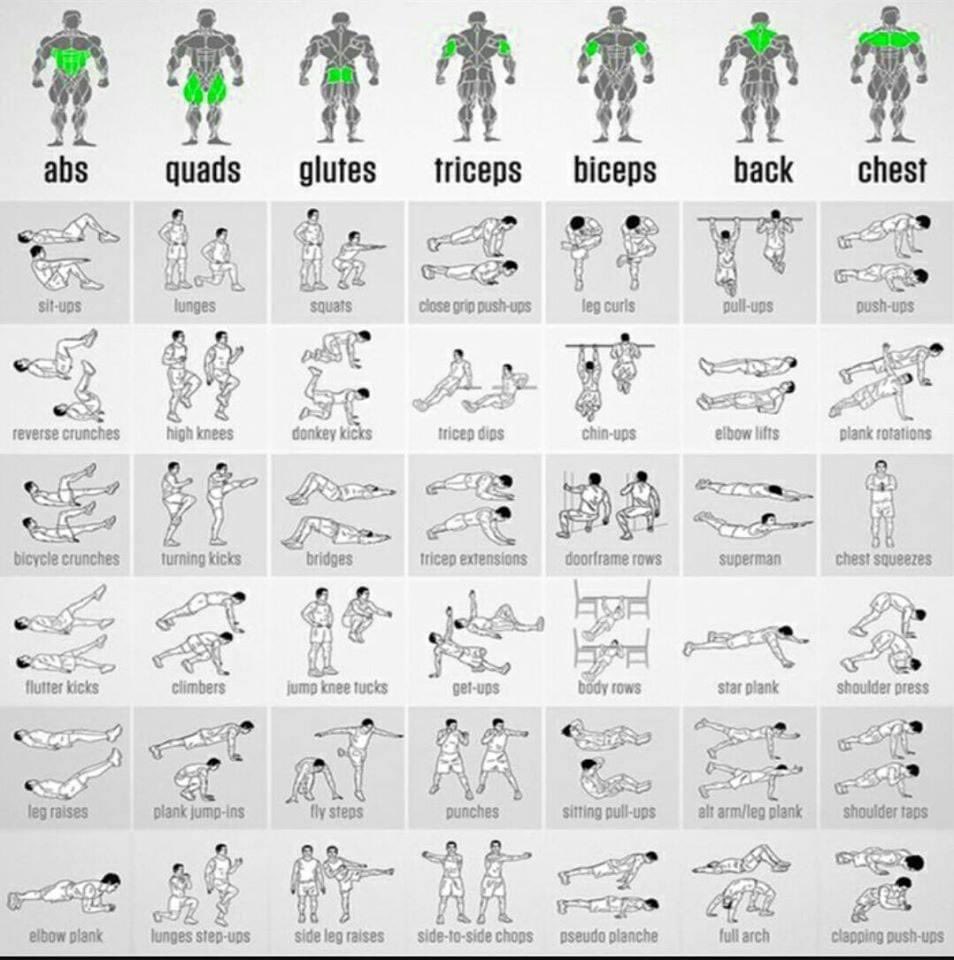 Төхөөрөмжгүй хийж болох бүтэн биеийн дасгалууд