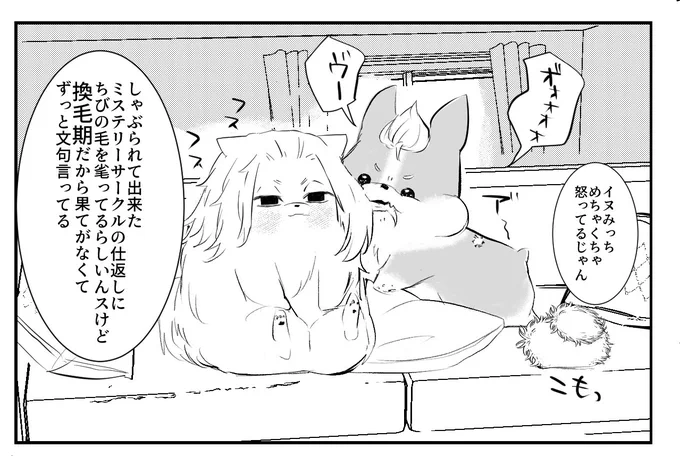 rkgk マイ武さん家の🐶
換毛期。涼しくなって嬉しいちび 