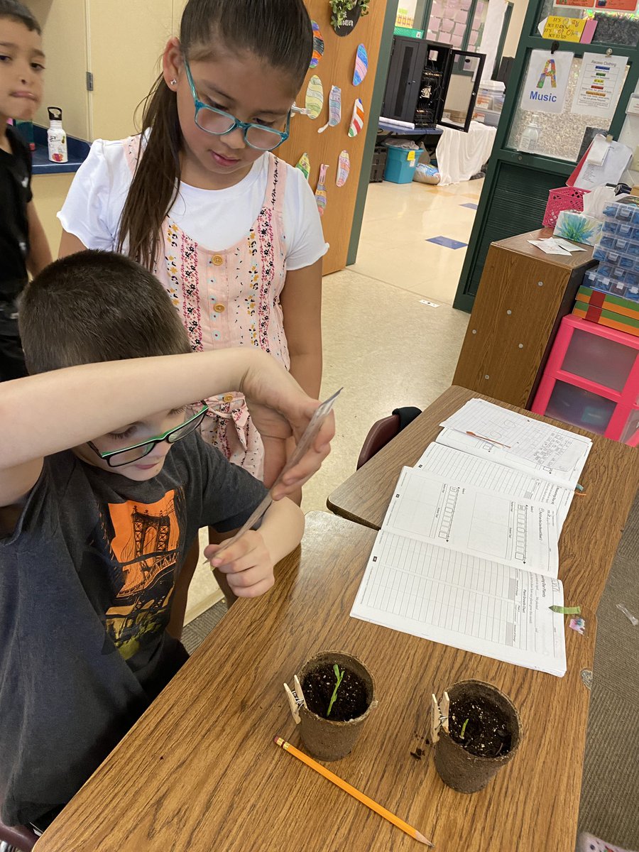 MissSears112's tweet photo. We planted seeds in Number Corner and are tracking their growth. 🌿#KSDpride https://t.co/MTZgF3xQ85