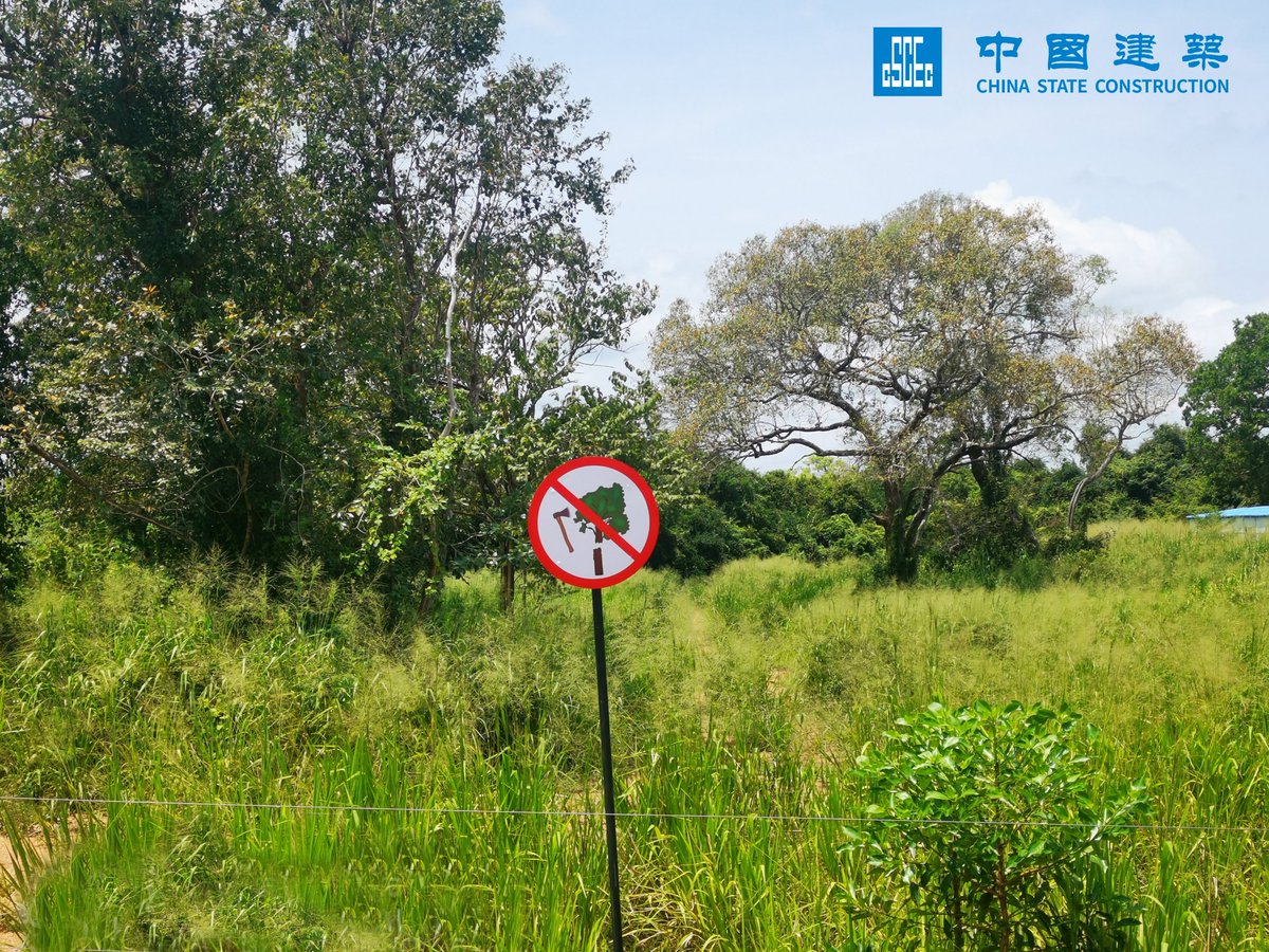 CscecSlk's tweet image. CSCEC always stresses environmental protection in the construction of Upper Elahera Canal in Sri Lanka. #InvestInOurPlanet #WitnessHappiness #CSCECInAction @CSCECNews @EarthDay
“It’s your turn!” @CSCEC_MALDIVES