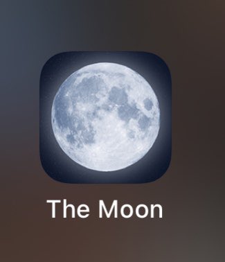 я Лика tweet media