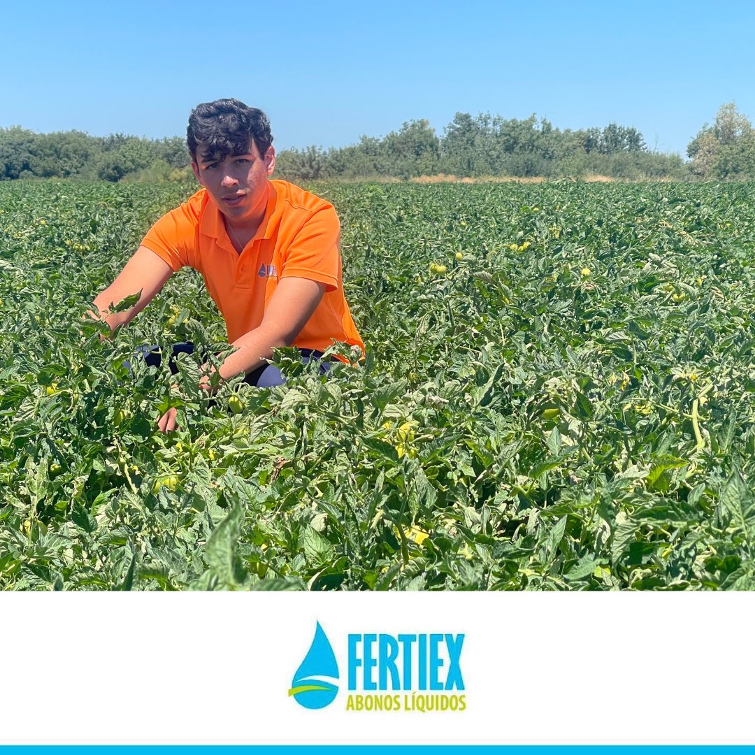 ▪️Nuestro equipo tiene una amplia experiencia al servicio de nuestros clientes. Siempre estaremos dispuestos a ayudarle. 

📩: info@fertiex.es
📍 Pol. Ind. San Isidro C/ De Los Herreros, nº6 Don Benito.
📞 924 81 16 59
•
•
#Fertiex I #DonBenito I #FabricaciónyComercialización