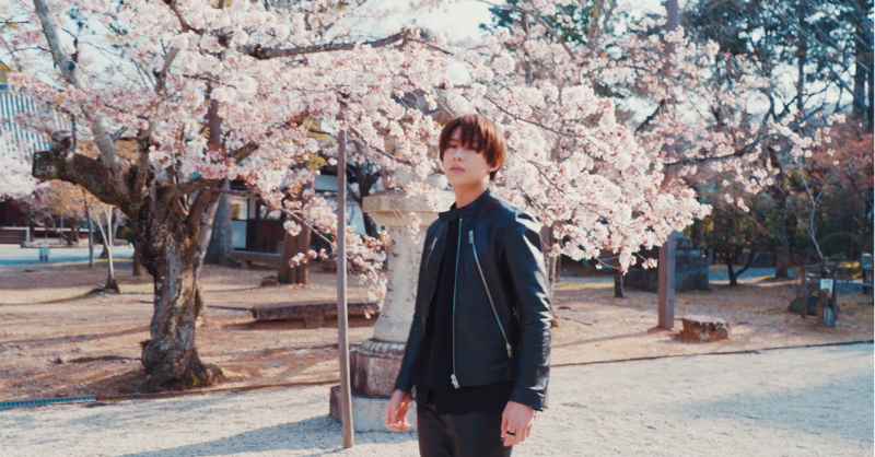 ariolajapan's tweet photo. 【#Qyoto】@Qyoto_staff

 「京都古刹プロジェクト第5弾」
桜が咲き誇る春の京都・真如堂 
大覚寺で撮影したミュージックビデオを公開🎬

🎥https://t.co/sJISGKUUeO

満開の桜の中、儚げな表情で魅了する
#中園勇樹 をぜひご堪能ください✨ https://t.co/y2I24HeMHv
