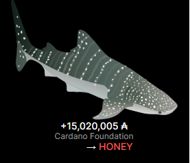 We are POND tweet media