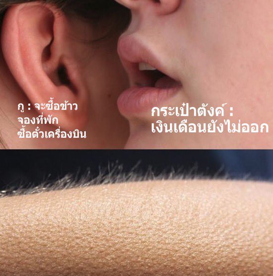 กุ๊กกุ๊ก tweet media